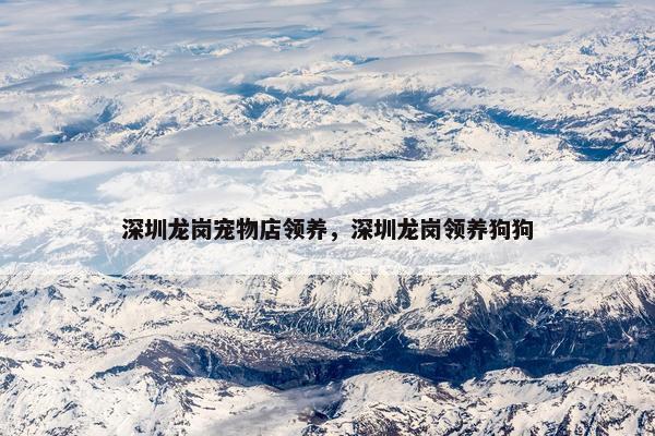 深圳龙岗宠物店领养，深圳龙岗领养狗狗