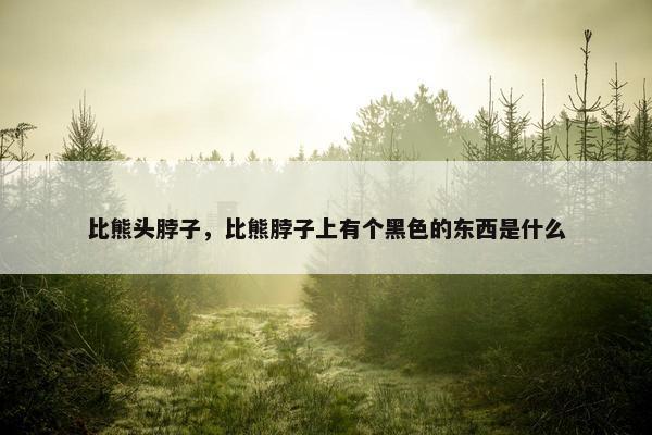 比熊头脖子，比熊脖子上有个黑色的东西是什么