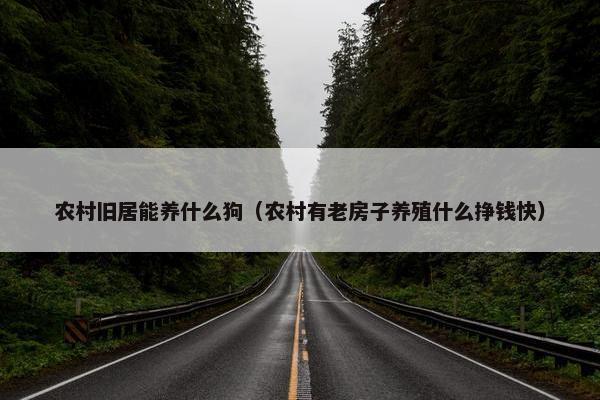 农村旧居能养什么狗（农村有老房子养殖什么挣钱快）