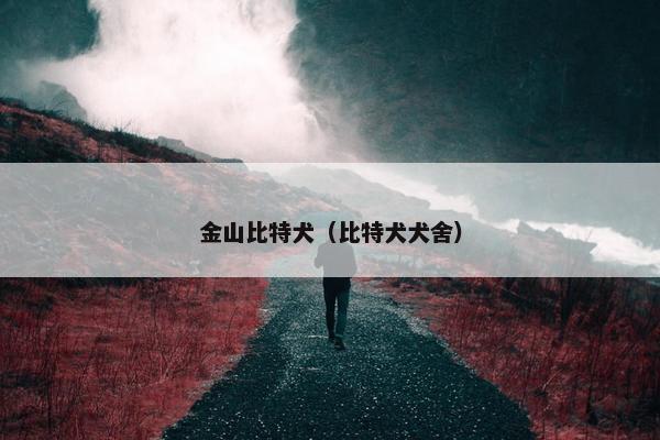 金山比特犬（比特犬犬舍）