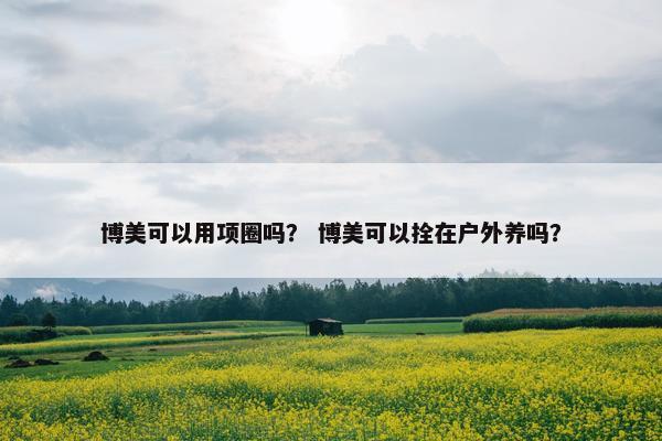 博美可以用项圈吗？ 博美可以拴在户外养吗？