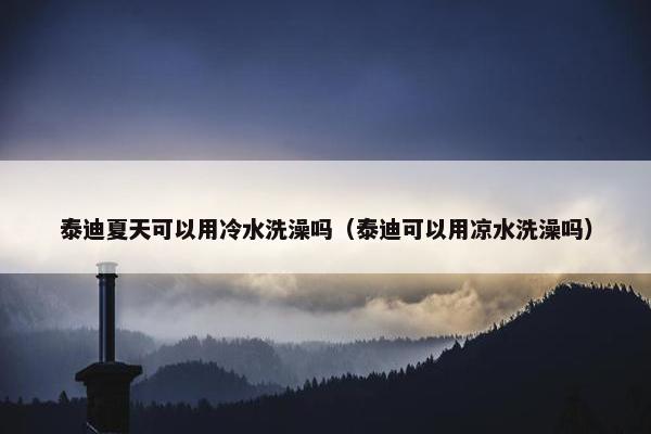 泰迪夏天可以用冷水洗澡吗（泰迪可以用凉水洗澡吗）