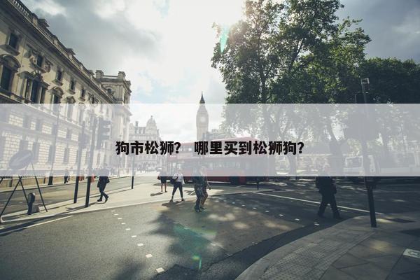 狗市松狮？ 哪里买到松狮狗？