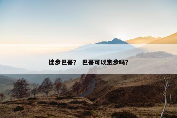 徒步巴哥？ 巴哥可以跑步吗？