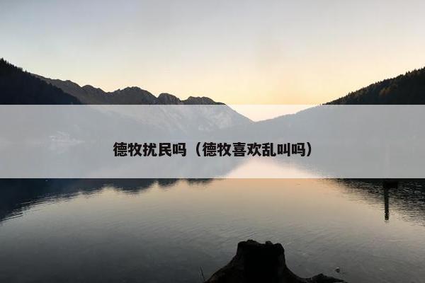 德牧扰民吗（德牧喜欢乱叫吗）