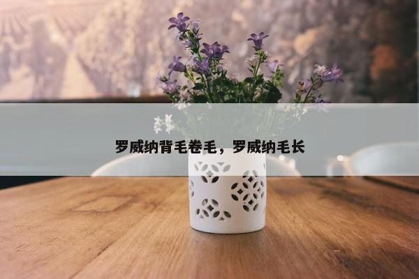 罗威纳背毛卷毛，罗威纳毛长