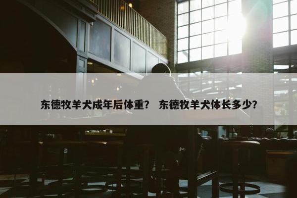 东德牧羊犬成年后体重？ 东德牧羊犬体长多少？
