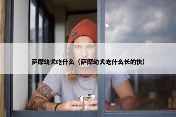 萨摩幼犬吃什么（萨摩幼犬吃什么长的快）