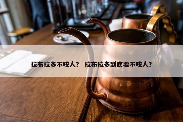 拉布拉多不咬人？ 拉布拉多到底要不咬人？