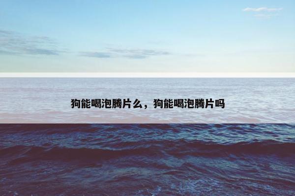 狗能喝泡腾片么，狗能喝泡腾片吗