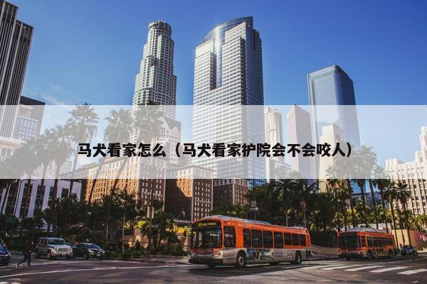 马犬看家怎么（马犬看家护院会不会咬人）