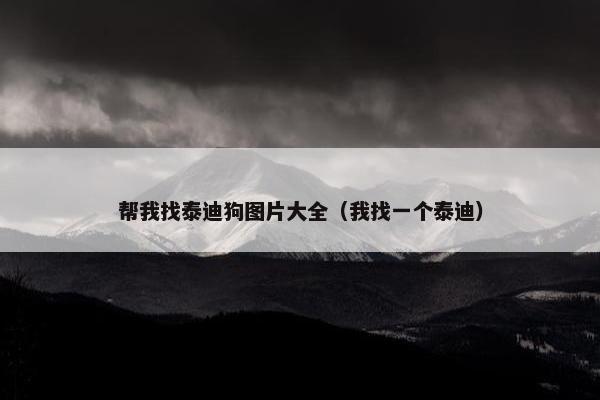 帮我找泰迪狗图片大全（我找一个泰迪）
