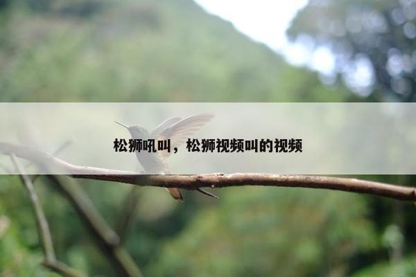 松狮吼叫，松狮视频叫的视频