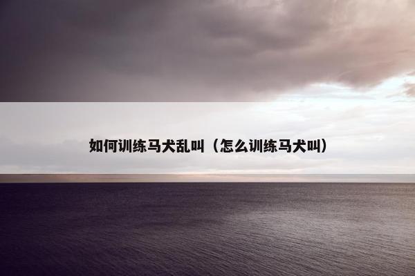 如何训练马犬乱叫（怎么训练马犬叫）