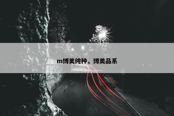 m博美纯种，博美品系
