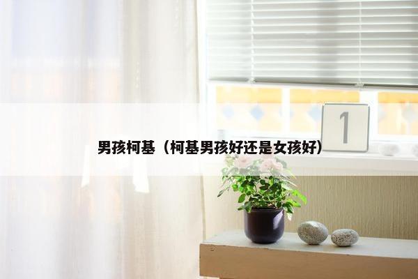 男孩柯基（柯基男孩好还是女孩好）