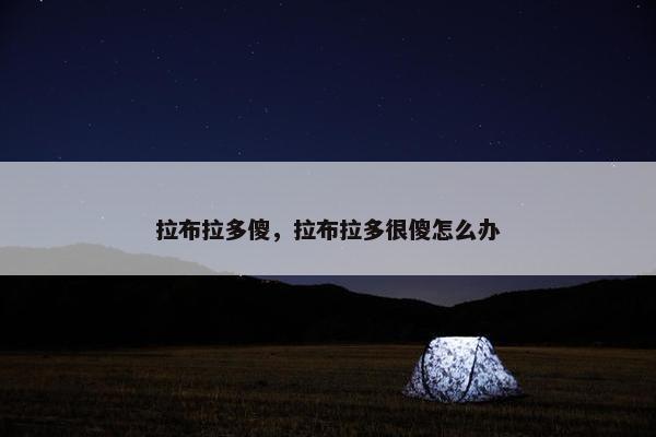 拉布拉多傻，拉布拉多很傻怎么办