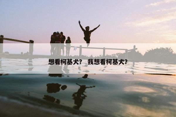 想看柯基犬？ 我想看柯基犬？