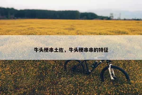 牛头梗串土佐，牛头梗串串的特征