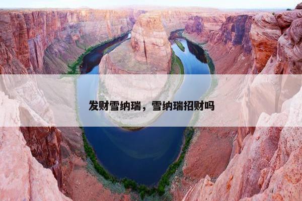 发财雪纳瑞，雪纳瑞招财吗