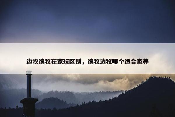 边牧德牧在家玩区别，德牧边牧哪个适合家养