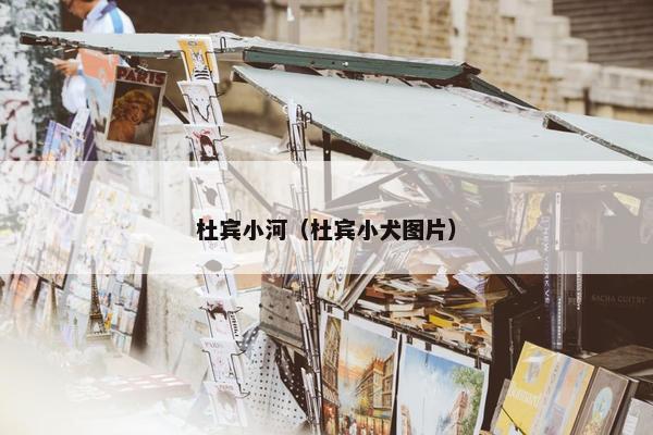 杜宾小河（杜宾小犬图片）
