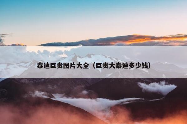 泰迪巨贵图片大全（巨贵大泰迪多少钱）