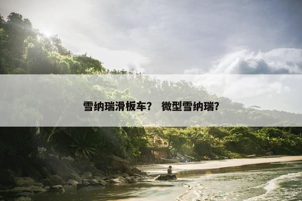 雪纳瑞滑板车？ 微型雪纳瑞？