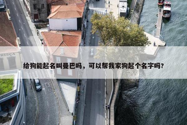 给狗能起名叫曼巴吗，可以帮我家狗起个名字吗?