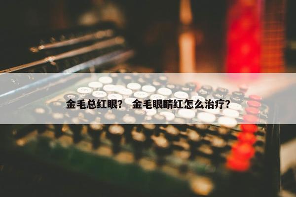 金毛总红眼？ 金毛眼睛红怎么治疗？