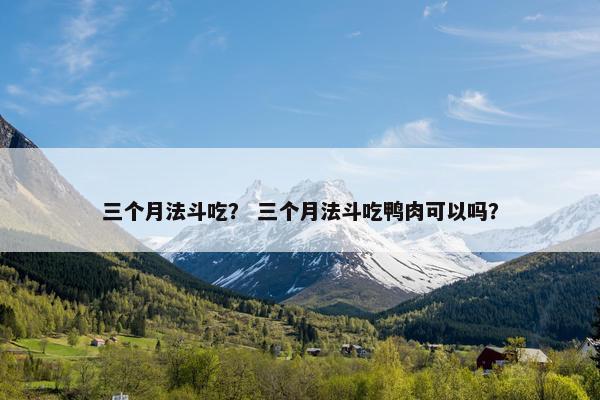三个月法斗吃？ 三个月法斗吃鸭肉可以吗？