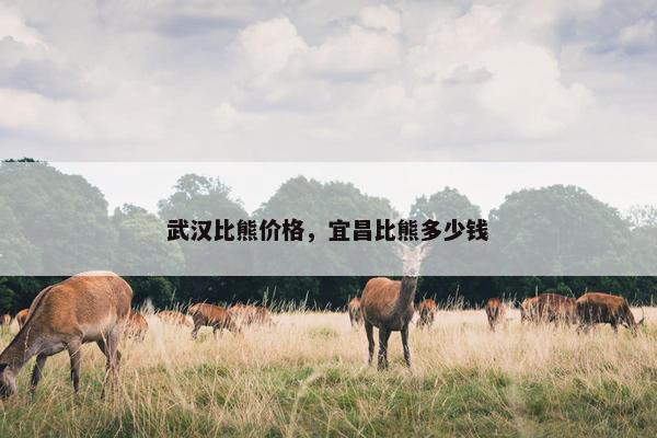 武汉比熊价格，宜昌比熊多少钱