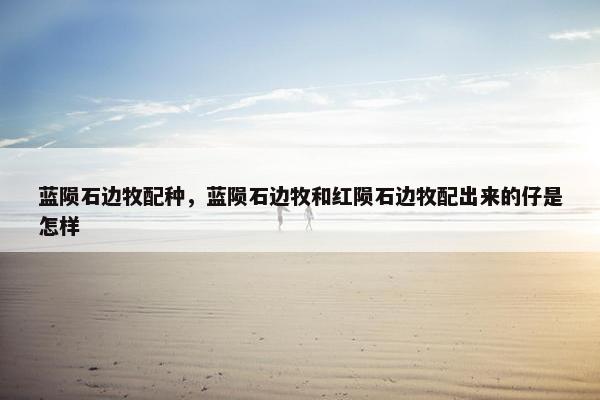 蓝陨石边牧配种，蓝陨石边牧和红陨石边牧配出来的仔是怎样