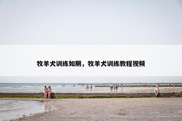 牧羊犬训练如厕，牧羊犬训练教程视频