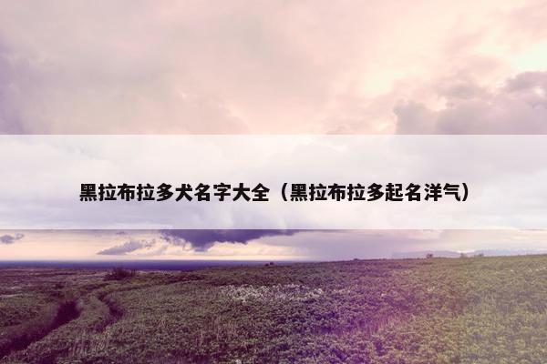 黑拉布拉多犬名字大全（黑拉布拉多起名洋气）