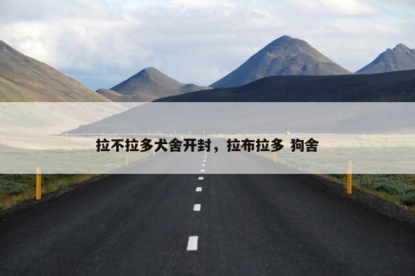 拉不拉多犬舍开封，拉布拉多 狗舍