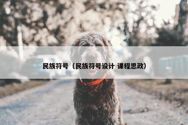 民族符号（民族符号设计 课程思政）