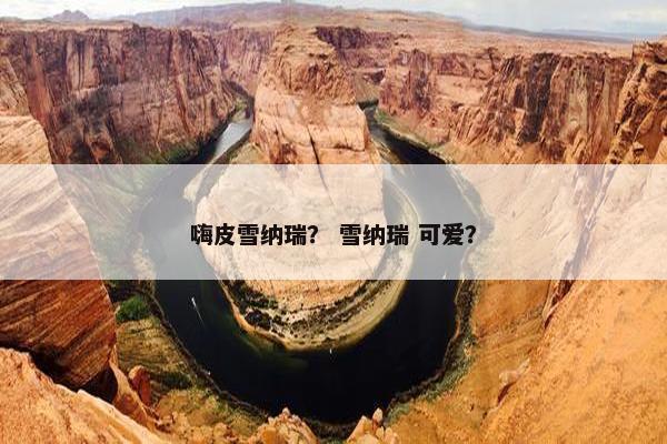 嗨皮雪纳瑞？ 雪纳瑞 可爱？