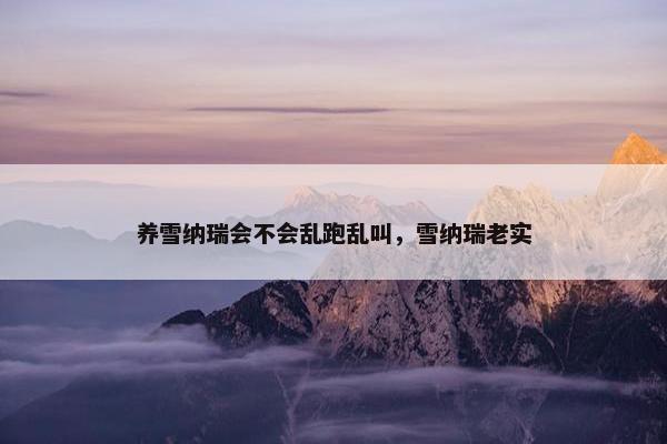 养雪纳瑞会不会乱跑乱叫，雪纳瑞老实