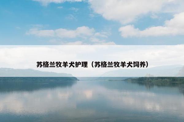 苏格兰牧羊犬护理（苏格兰牧羊犬饲养）