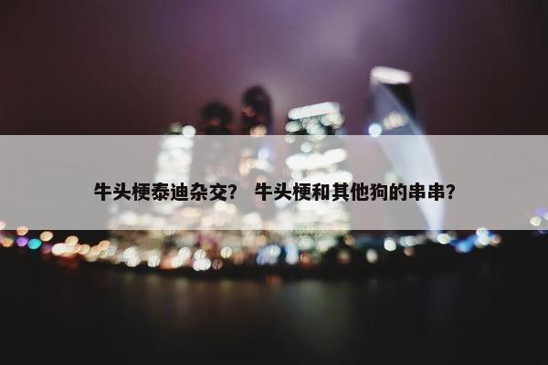 牛头梗泰迪杂交？ 牛头梗和其他狗的串串？