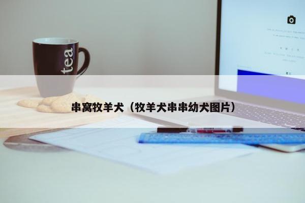 串窝牧羊犬（牧羊犬串串幼犬图片）
