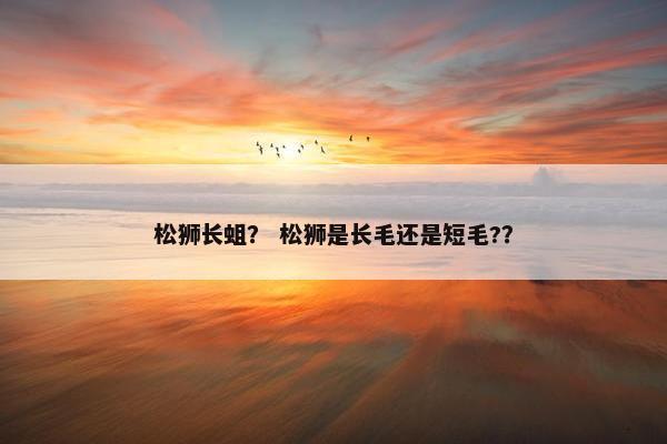 松狮长蛆？ 松狮是长毛还是短毛?？