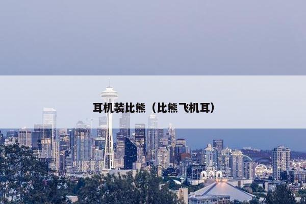 耳机装比熊（比熊飞机耳）