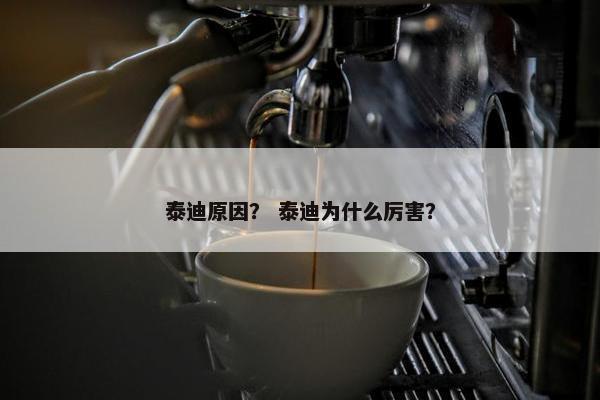 泰迪原因？ 泰迪为什么厉害？