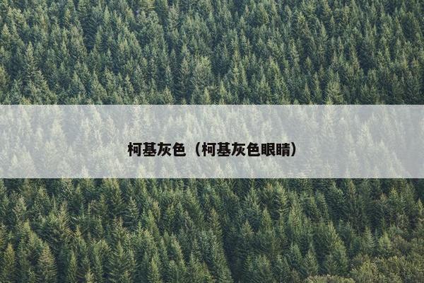 柯基灰色（柯基灰色眼睛）