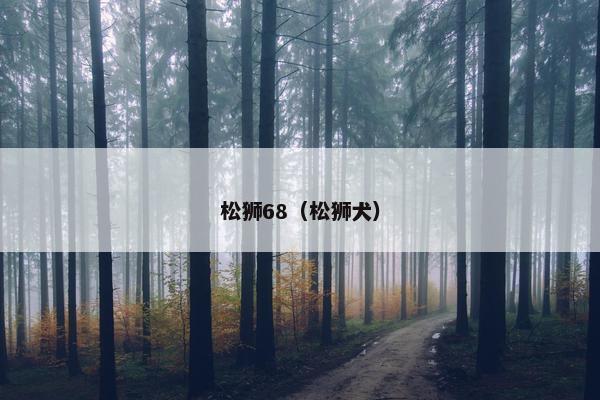 松狮68（松狮犬）