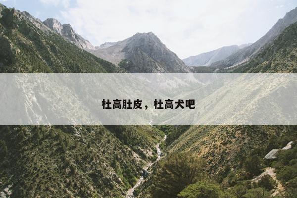 杜高肚皮，杜高犬吧