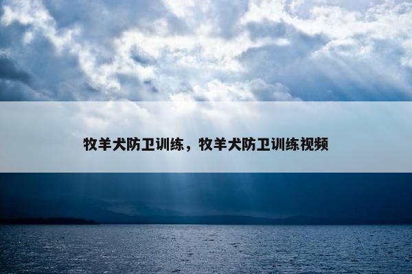 牧羊犬防卫训练，牧羊犬防卫训练视频