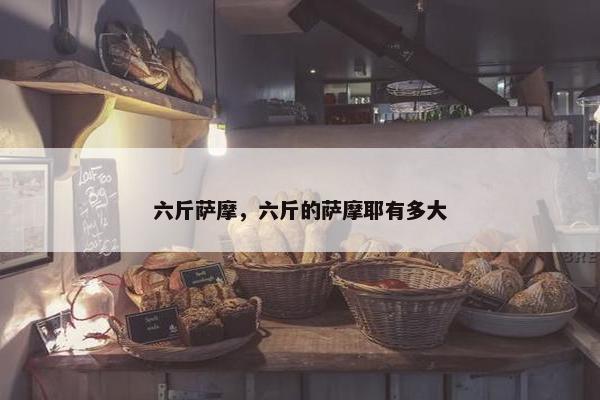 六斤萨摩，六斤的萨摩耶有多大